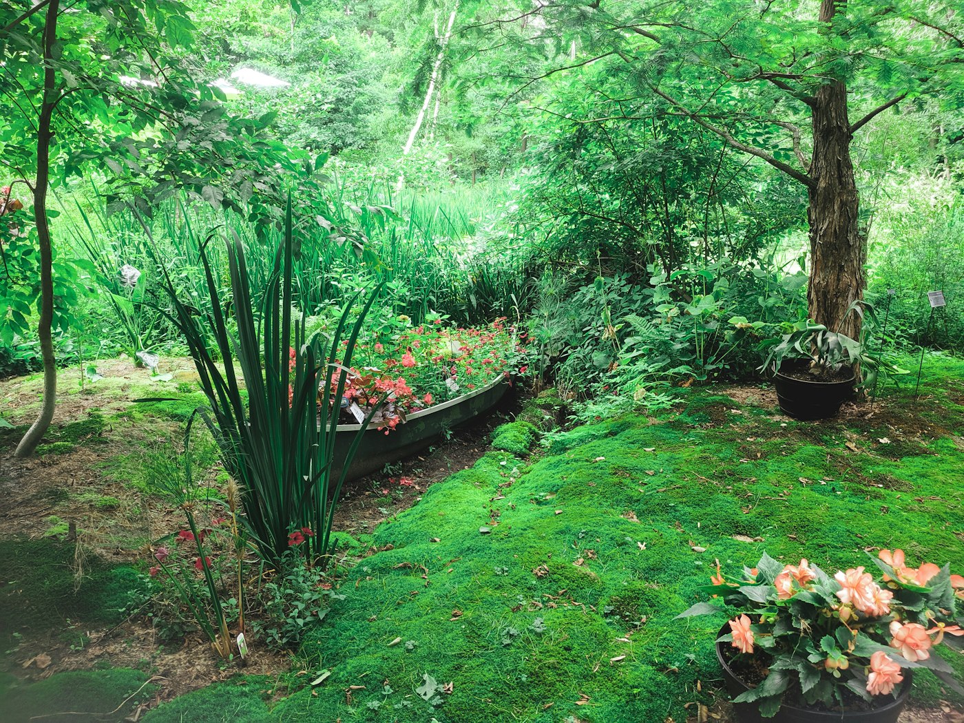 Vorher: unbearbeiteter, verwilderter Garten